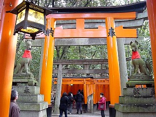 fushimi torii3.JPG