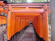 fushimi torii4.JPG